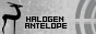 HalogenAntelope.com